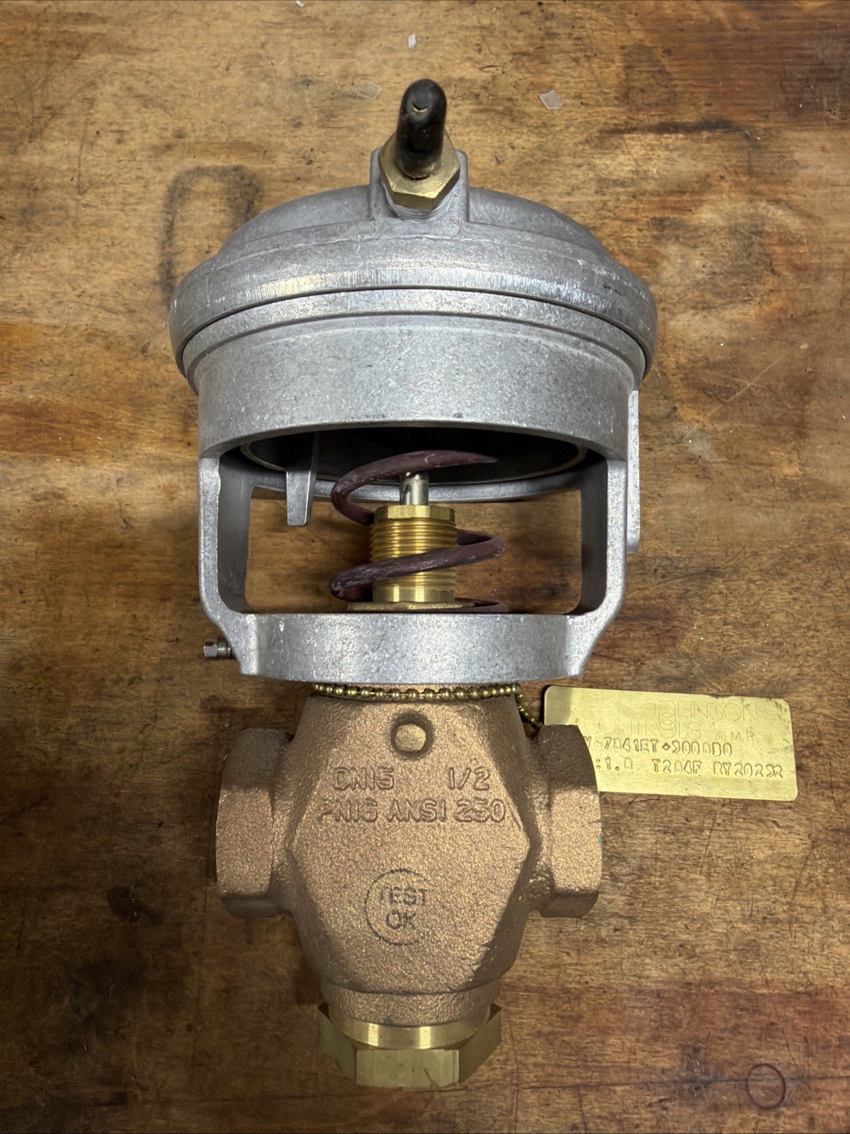 Johnson Controls VG7841ET+3008B0 Globe Valve With V-3000-8011 Actuator