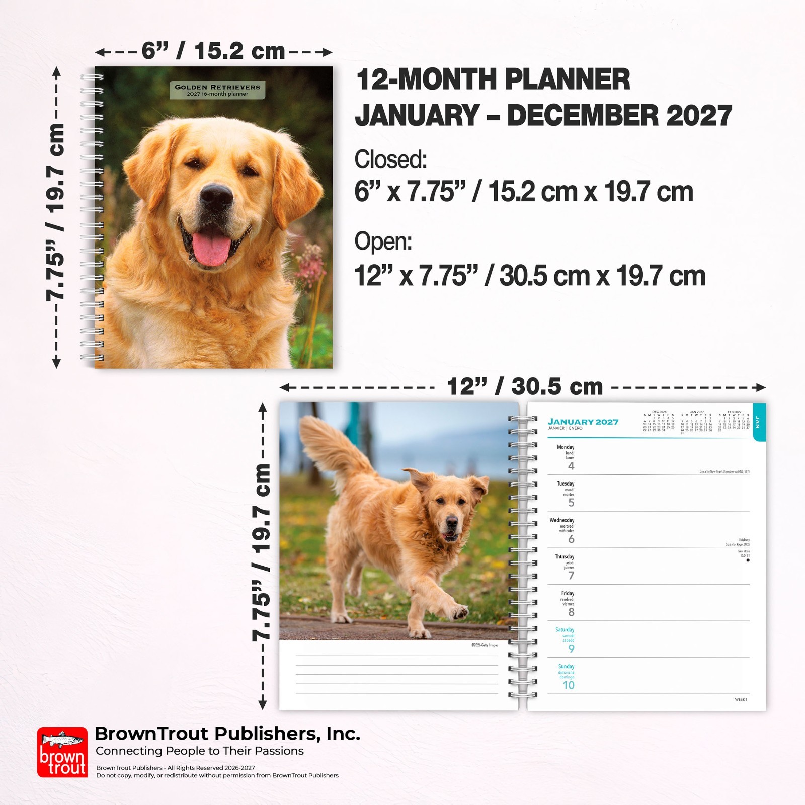 Golden Retrievers | 2027 6×7.75″ Spiral-Bound Wire-O Engagement Planner Calendar