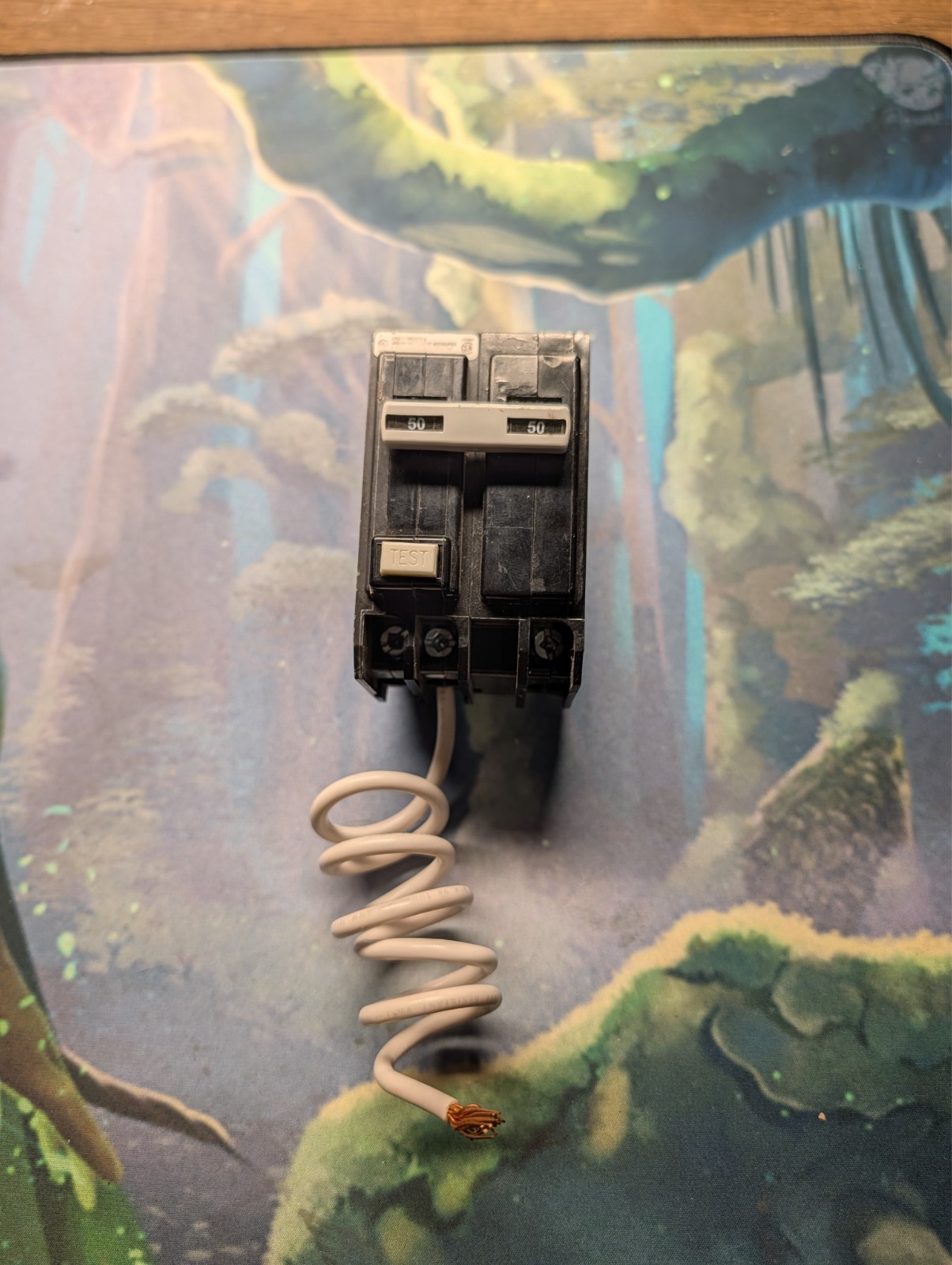 Eaton QBGFT2050 Circuit Breaker 50 Amp Bolt-On Ground Fault Self Test