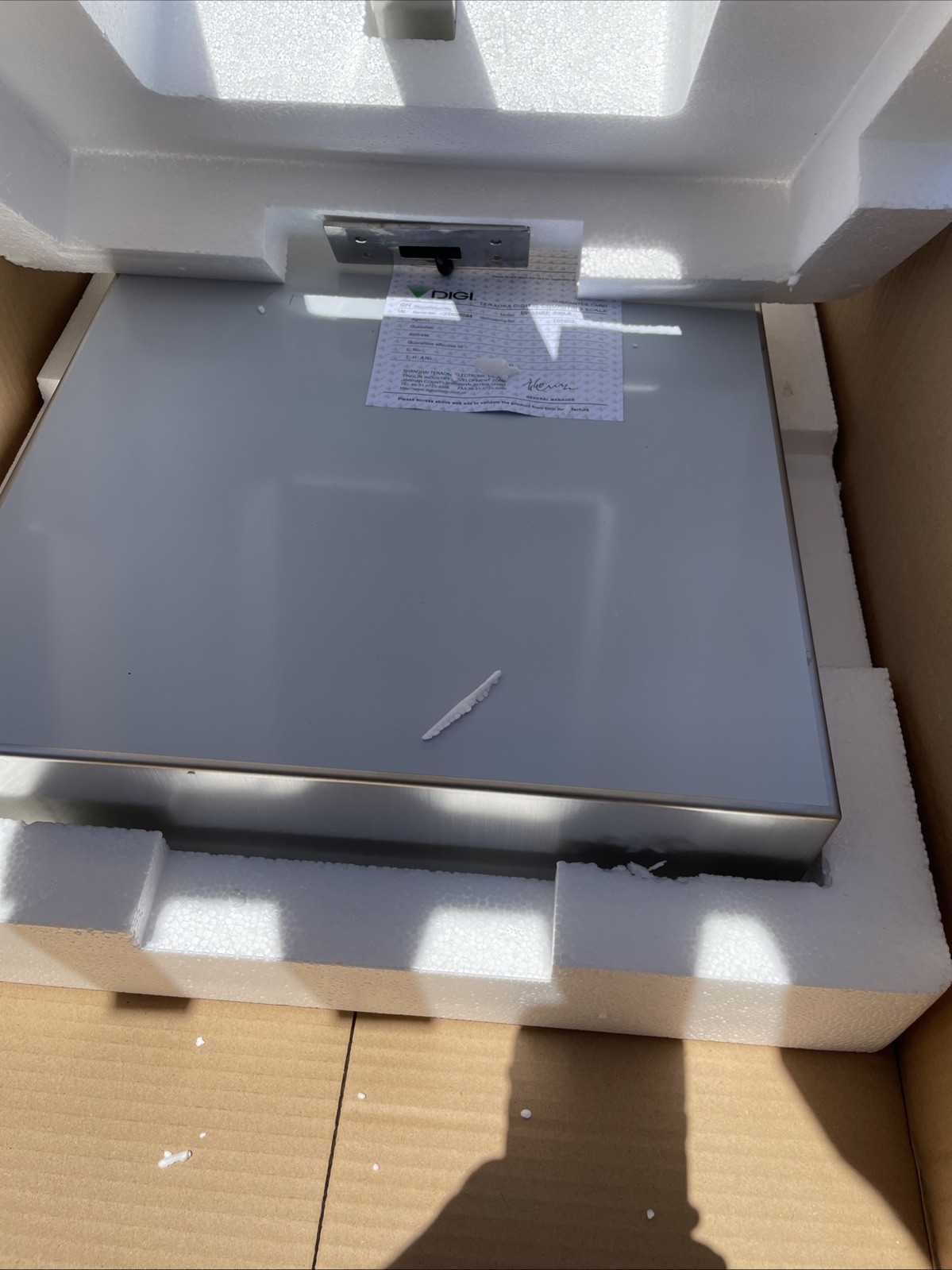 DIGI DS-520 Digital Platform Scale 300 Lb Food Service Stainless Water Resistant