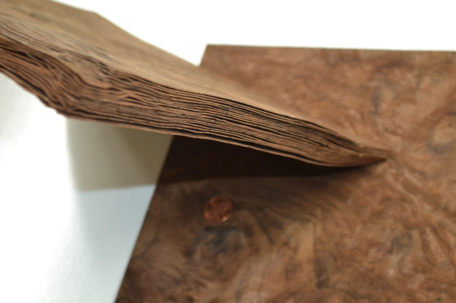 Walnut Burl Raw Wood Veneer Sheet 10 x 10.5 inches 1/42nd thick 4671-85
