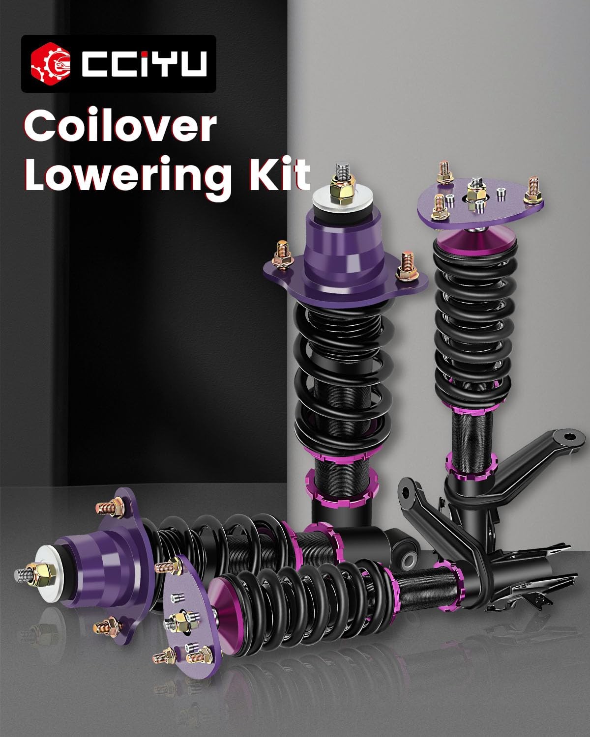 Coilover Kit 2002-2006 for Acura RSX DC5 Adjustable Suspension Shock Absorbers