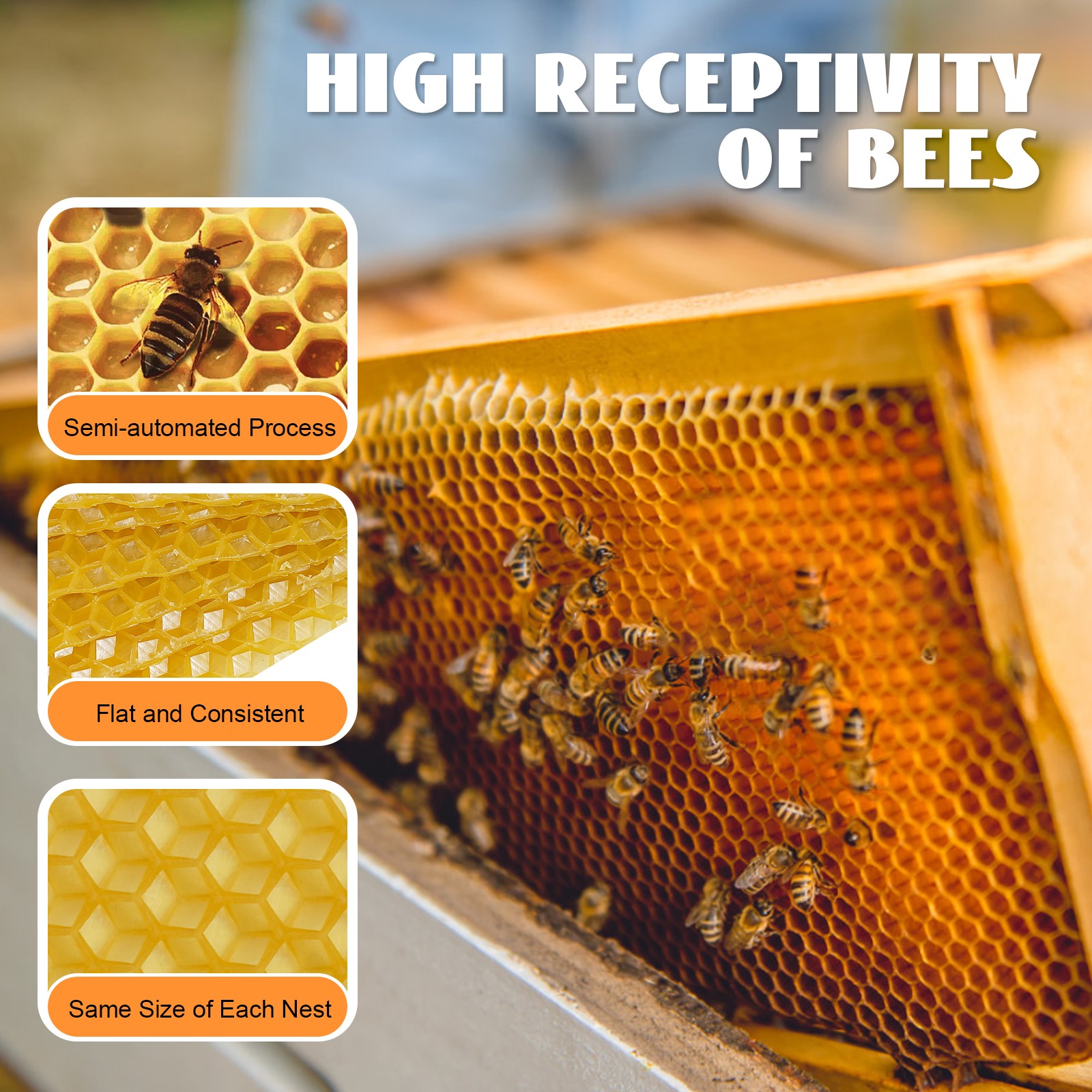 30Pcs 7.7*16.3″ Honeycomb Wax Frames Beekeeping Foundation Honey Bee Hive Tool.