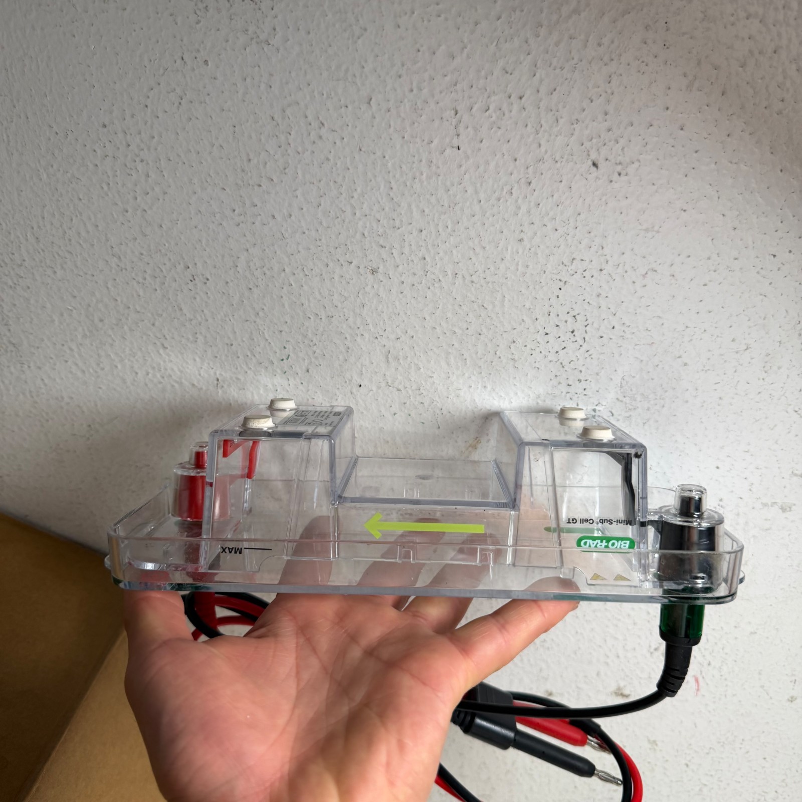 Bio-Rad Mini-Sub Cell GT Compact Horizontal Agarose Gel Electrophoresis System
