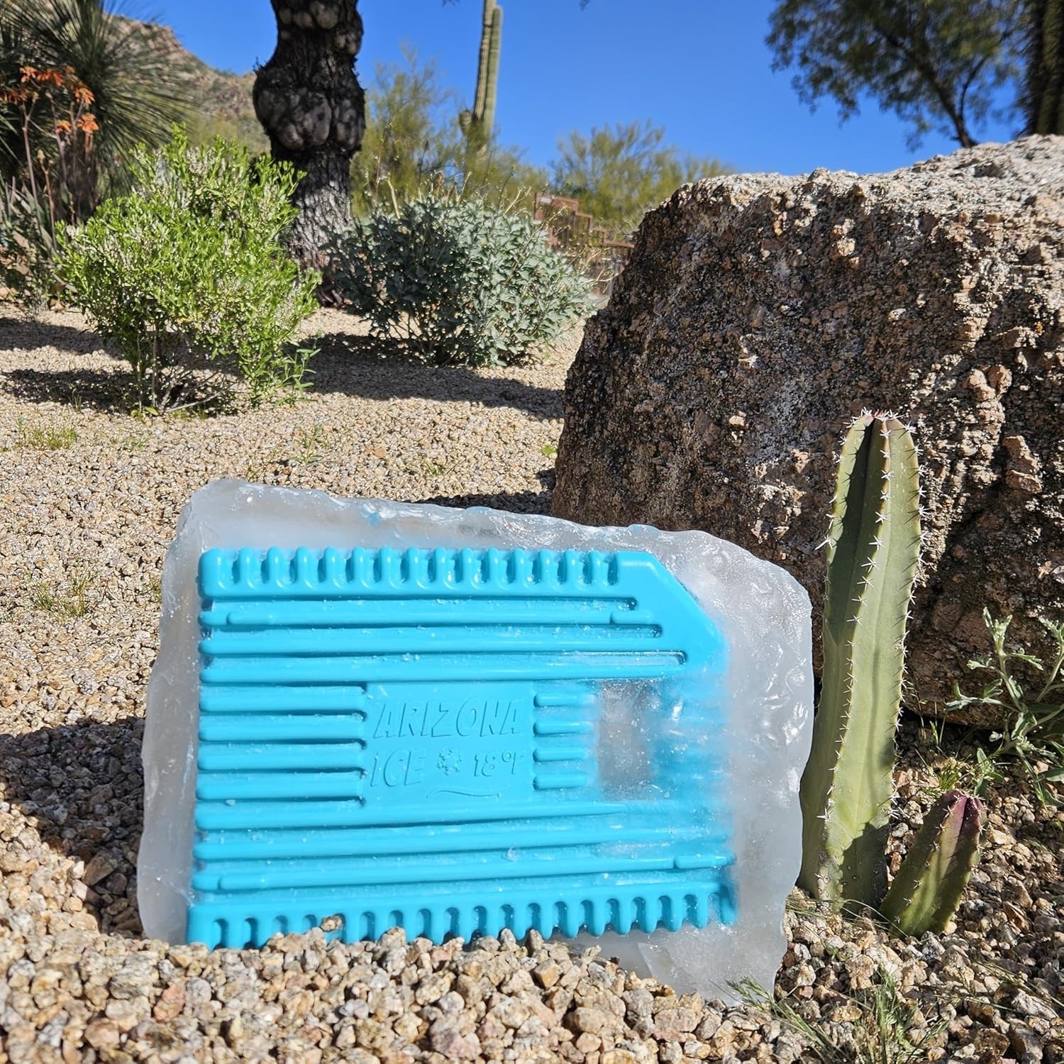 Arizona Ice Large Industrial Ice Packs | Replaces 10lbs of Ice |18°F -8°C | D…