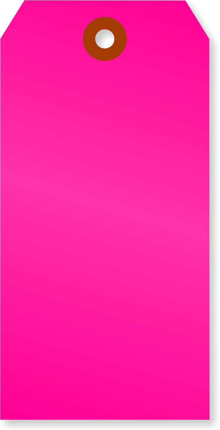 Fluorescent Pink Blank Tags with Pre-Punched Hole – 100-Pack 4.75″ x 2.375″ S…