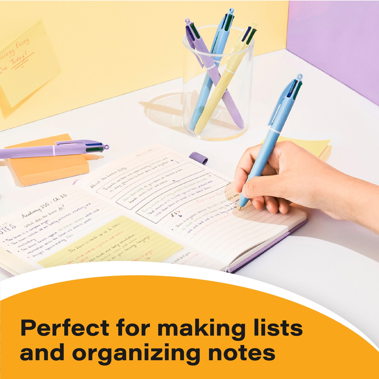 BIC 4 Color Pastel Ballpoint Pens Medium Point (1.0 mm), Pack of 12