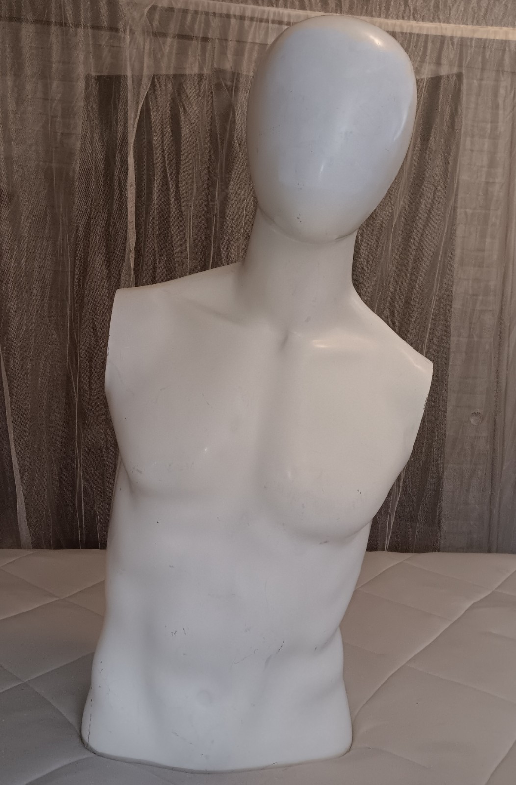Male Egghead Torso Mannequin – Armless Display Form – Mannequin Like Display