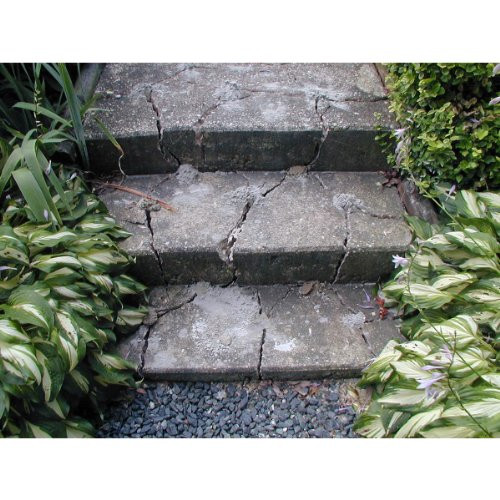 Dexpan Expansive Demolition Grout 11 Lb. Bucket for Rock Breaking, Concrete to F