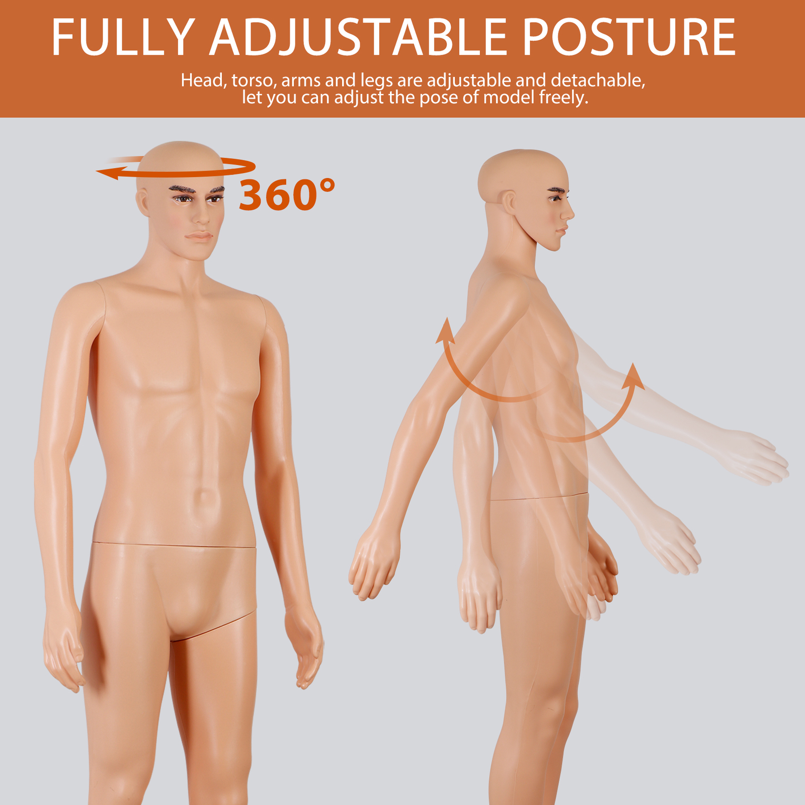 Adjustable Male Mannequin Full Body Realistic Mannequin Dress Forms for Shop