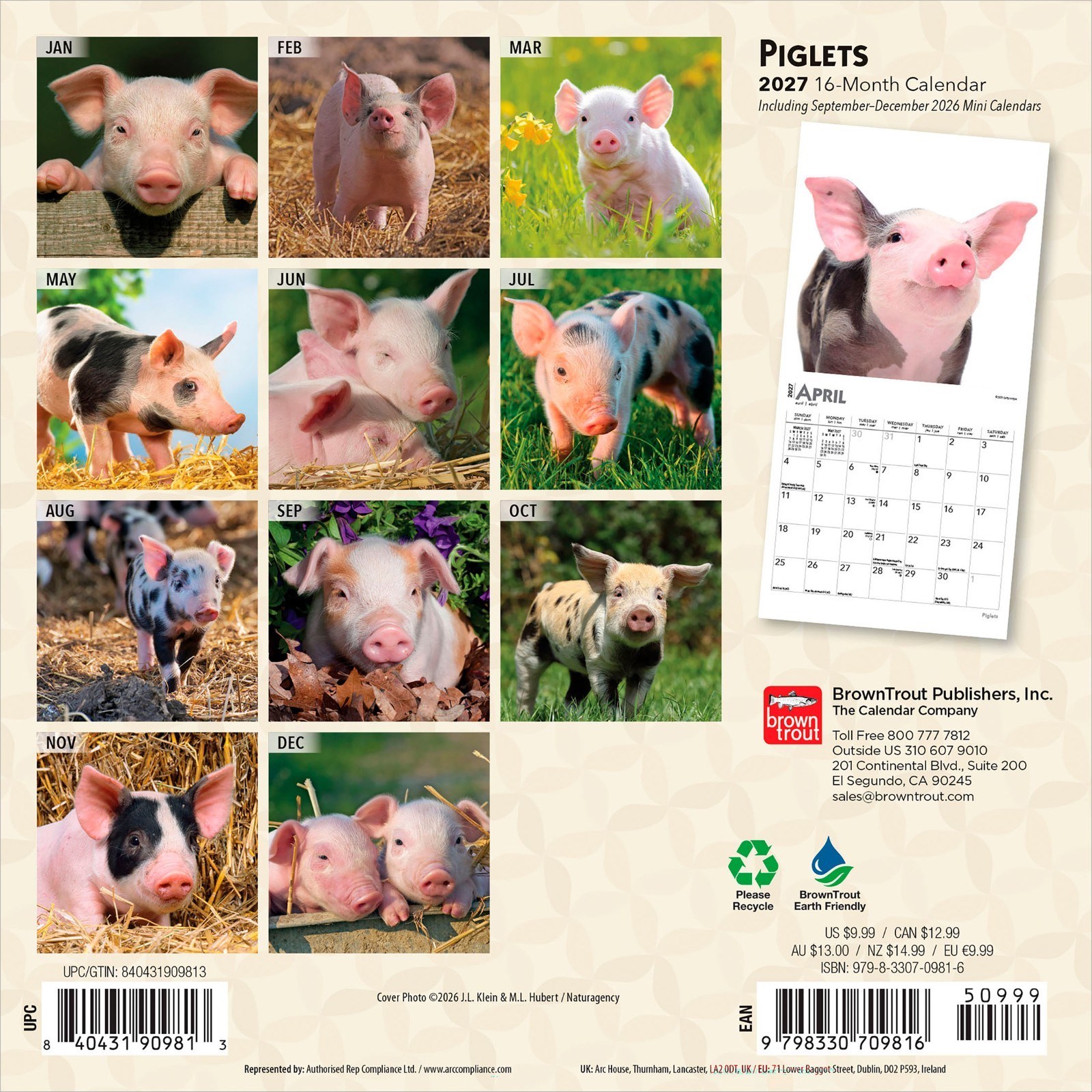 Piglets | 2027 7×14″ (Hanging) Monthly Mini Wall Calendar