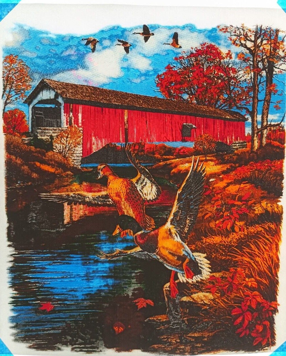 Authentic Vintage 90’s Covered Bridge Ducks Country Heat Transfer Iron On NOS