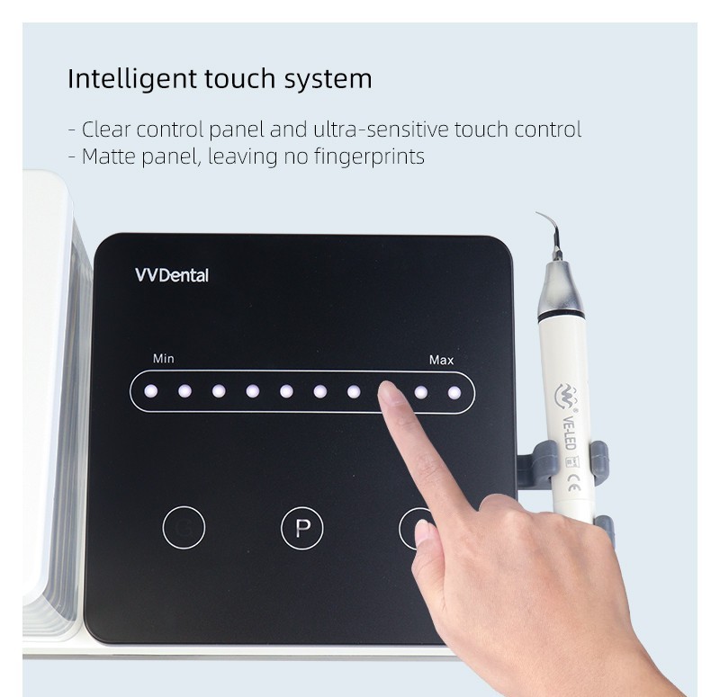 Dental Ultrasonic Piezo Scaler Pet Teeth Calculus Cleaning Machine LED Handpiece