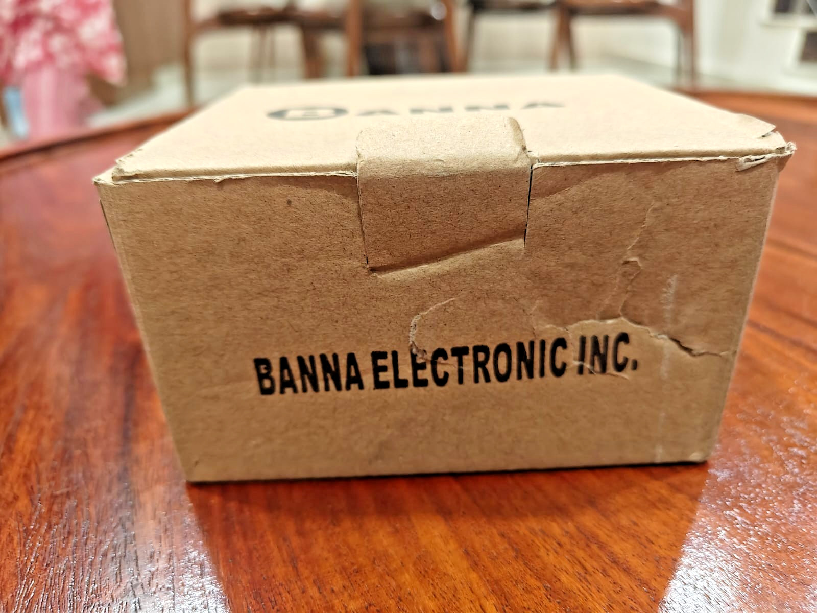 BANNA PE100-P250G14HT2A Pressure Transmitter 0–250 Bar, 24VDC, 4–20mA
