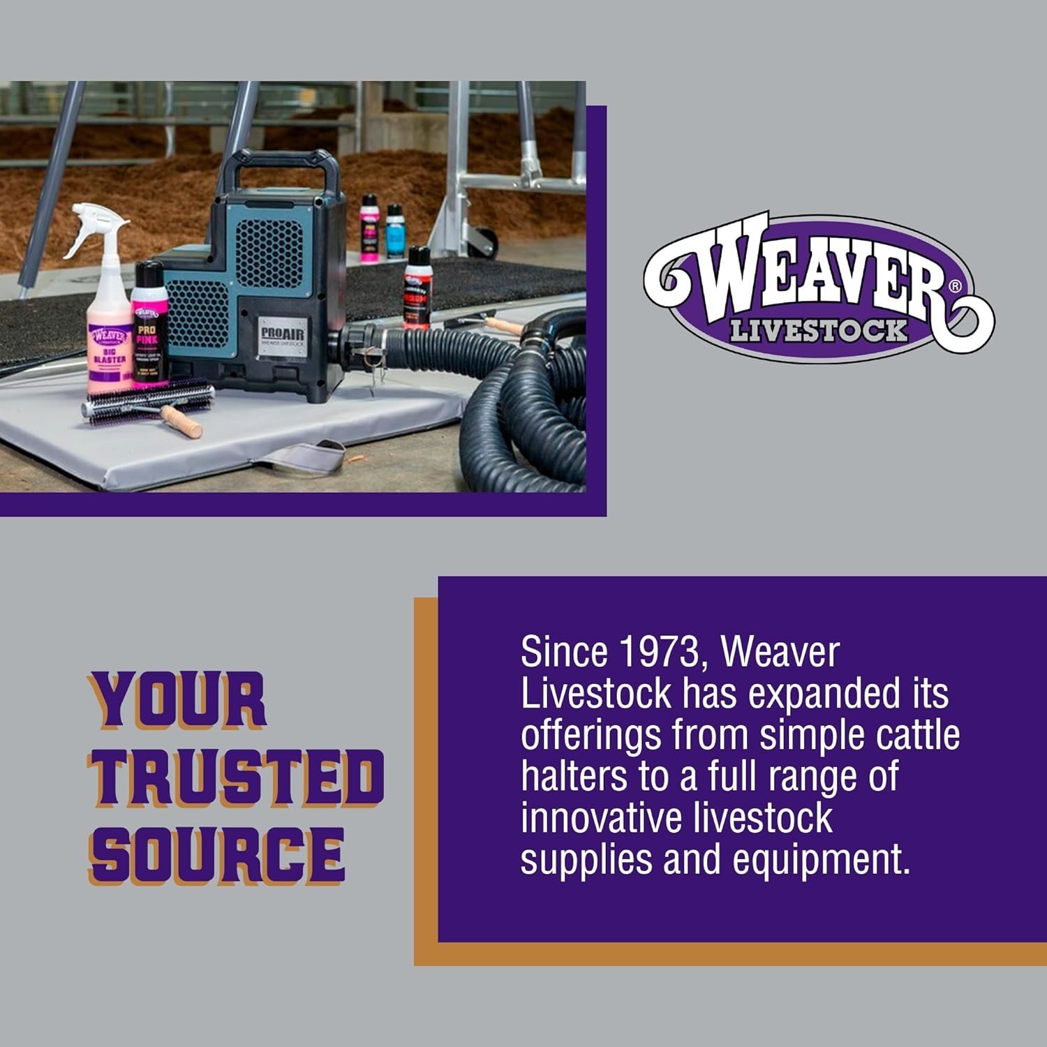 Weaver Leather Weaver Livestock Cattle Fly Mask Adjustable Mesh-Covered Cow