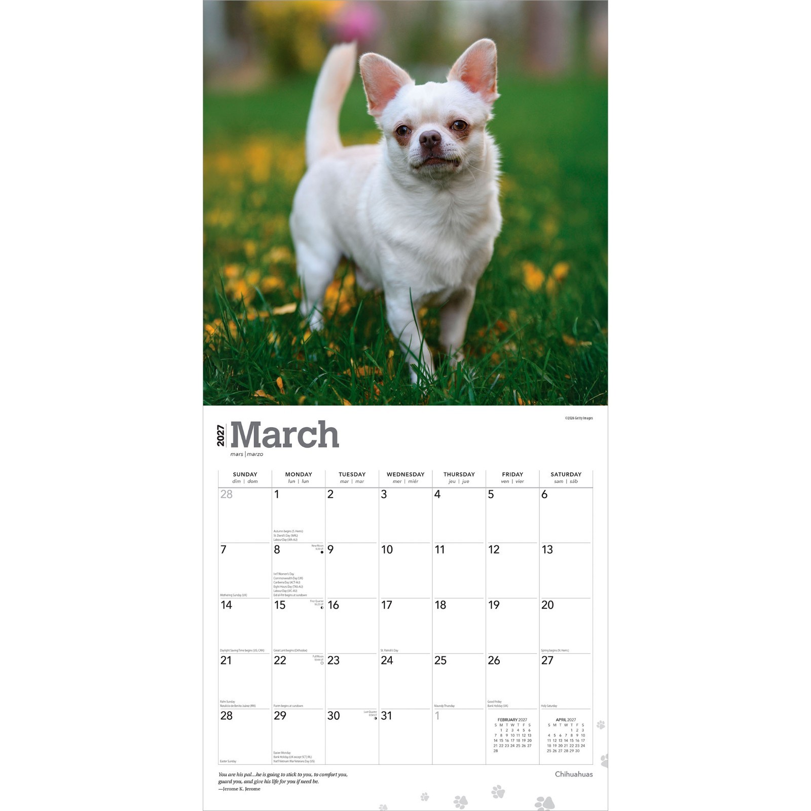 Chihuahuas | 2027 12×24″ (Hanging) Monthly Wall Calendar | Plastic-Free