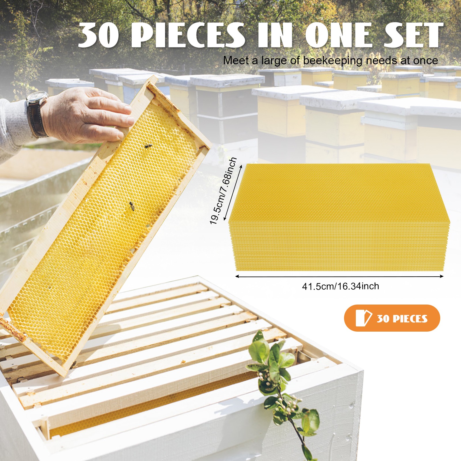 30Pcs 7.7*16.3″ Honeycomb Wax Frames Beekeeping Foundation Honey Bee Hive Tool.