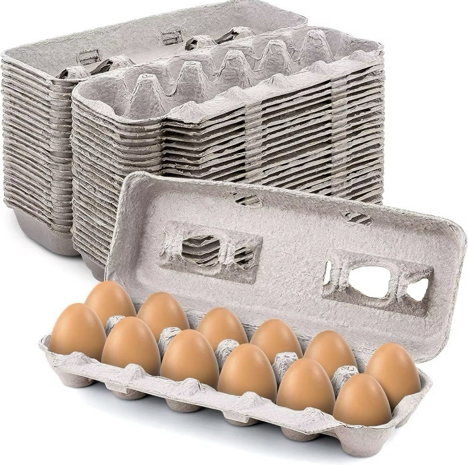 Egg CartonsNatural Pulp Egg Cartons Bulk Blank 12 Eggs Per Carton 20 PACK Strong