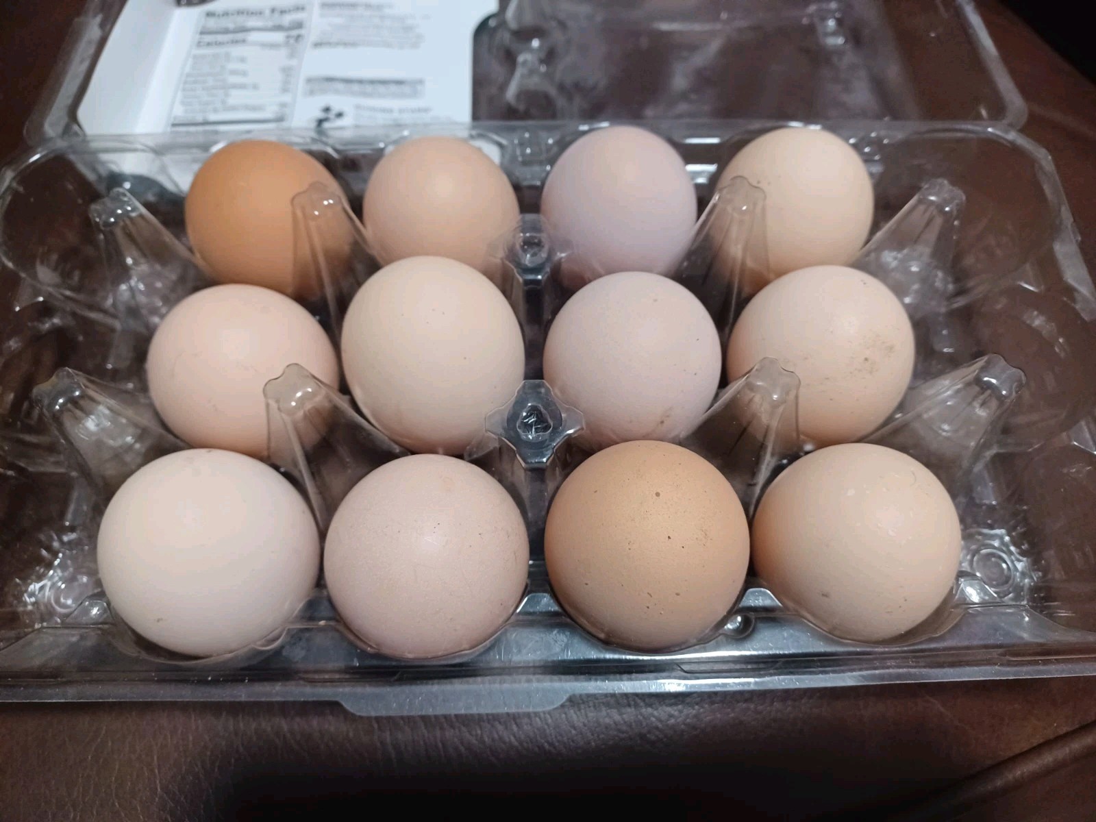 12 BRAHMA Chicken Hatching Eggs mixed buff and white