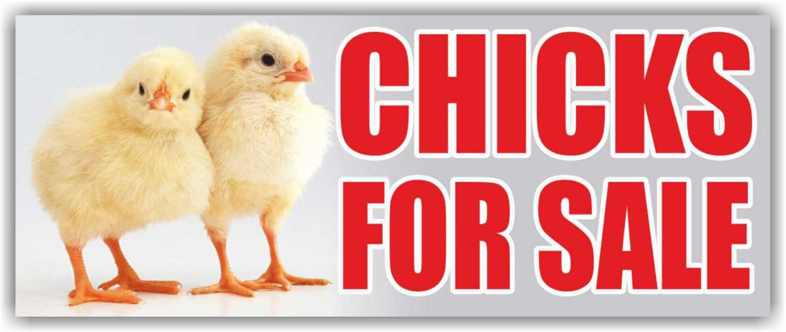 CHICKS FOR SALE Advertising Banner Vinyl Mesh Sign Sold Farm Eggs Baby Chickens
