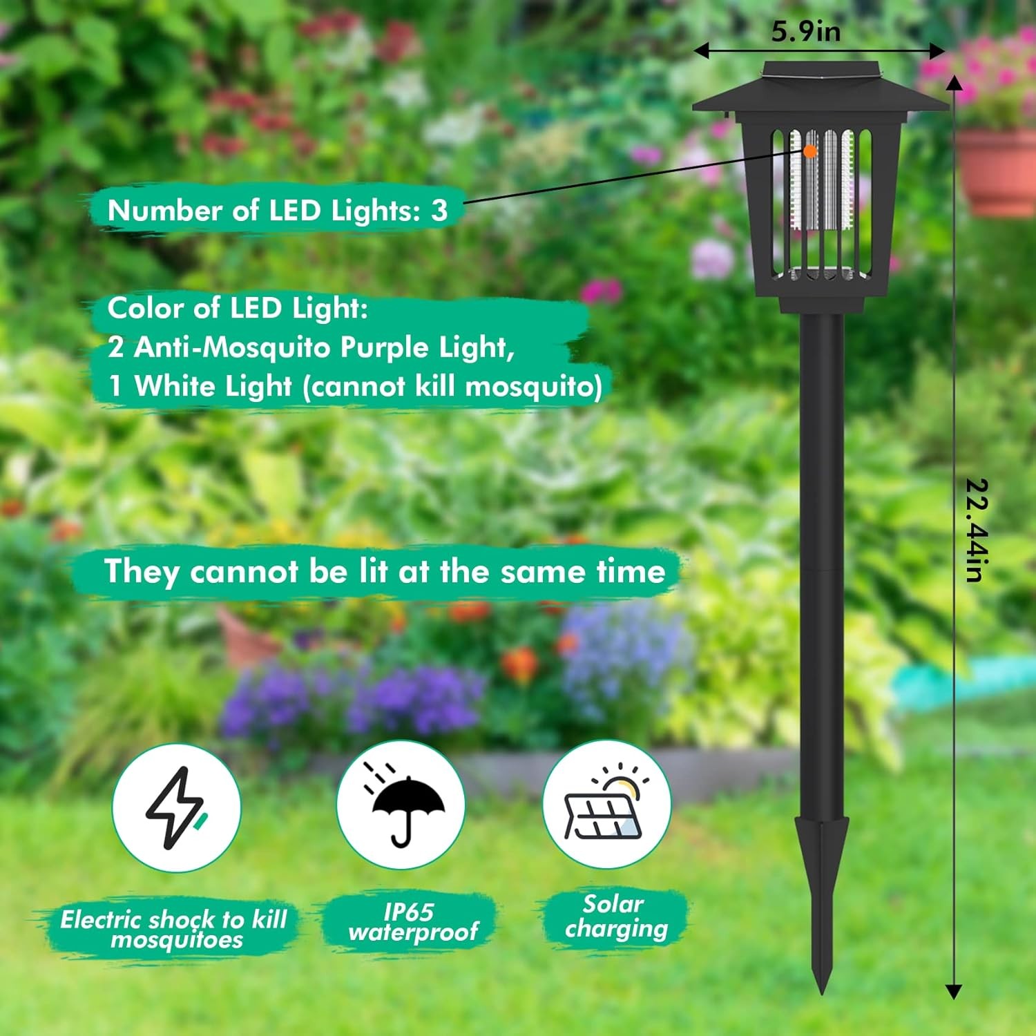 Courtyard Mosquito Killer (2-Pack) – Outdoor Lamp for Patio, Garden & Yard