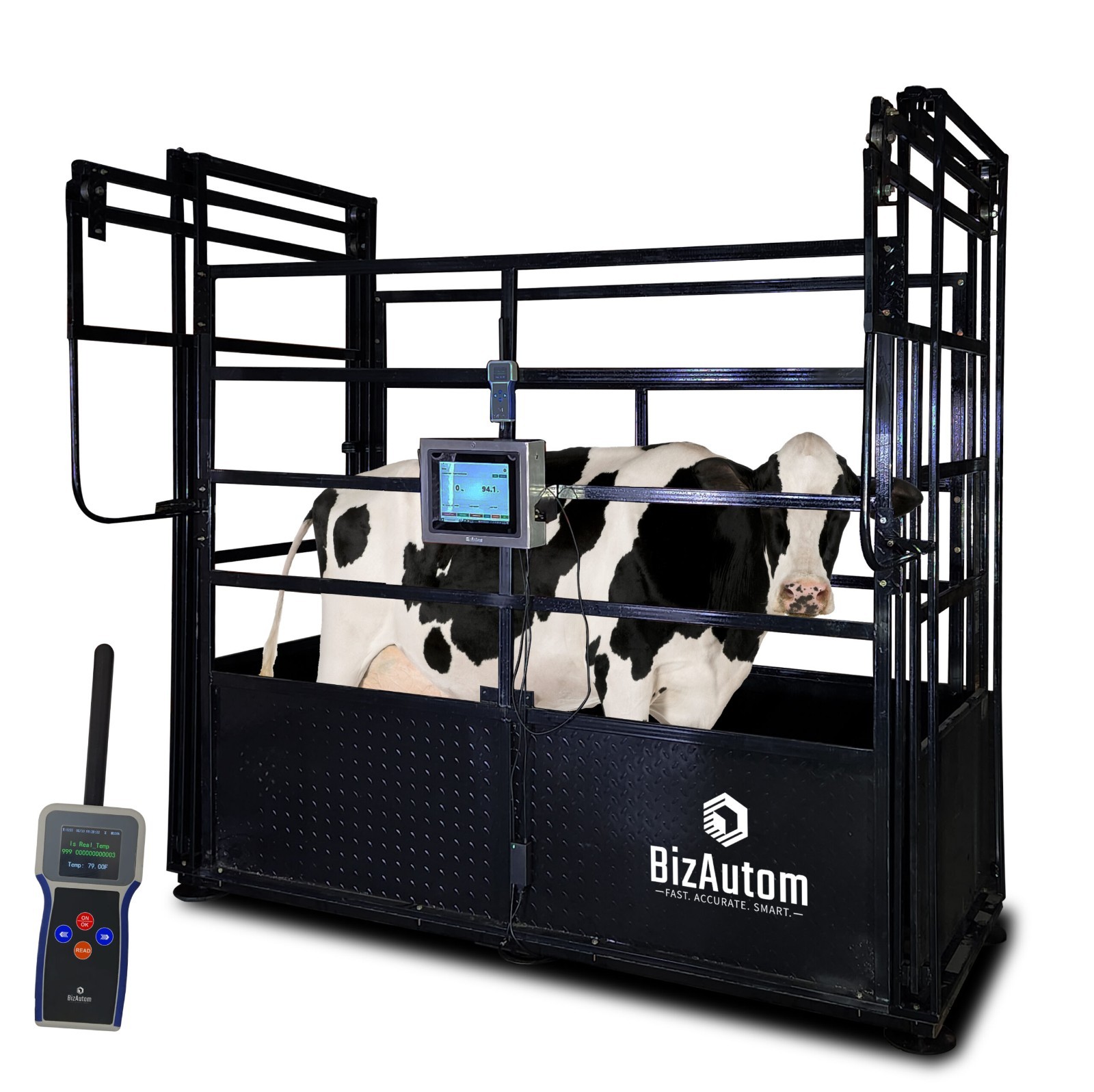 BizAutom Livestock Caged Scale with Bio Microchip Thermometer & SCADA