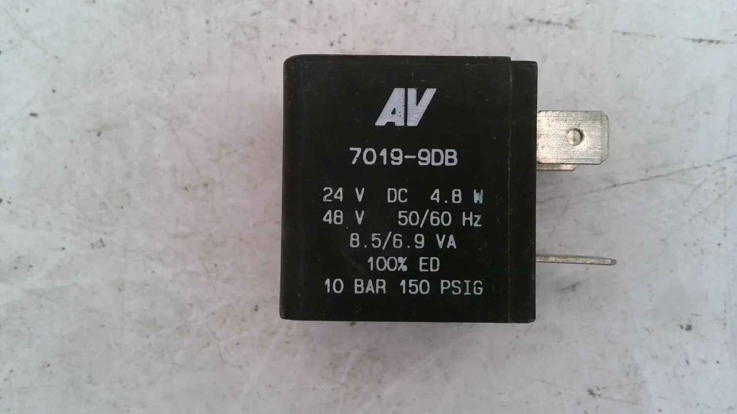 AV 7019 9DB 24V DC SOLENOID COIL 4.8W 10BAR 150PSIG