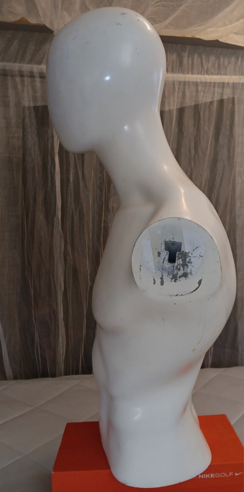 Male Egghead Torso Mannequin – Armless Display Form – Mannequin Like Display
