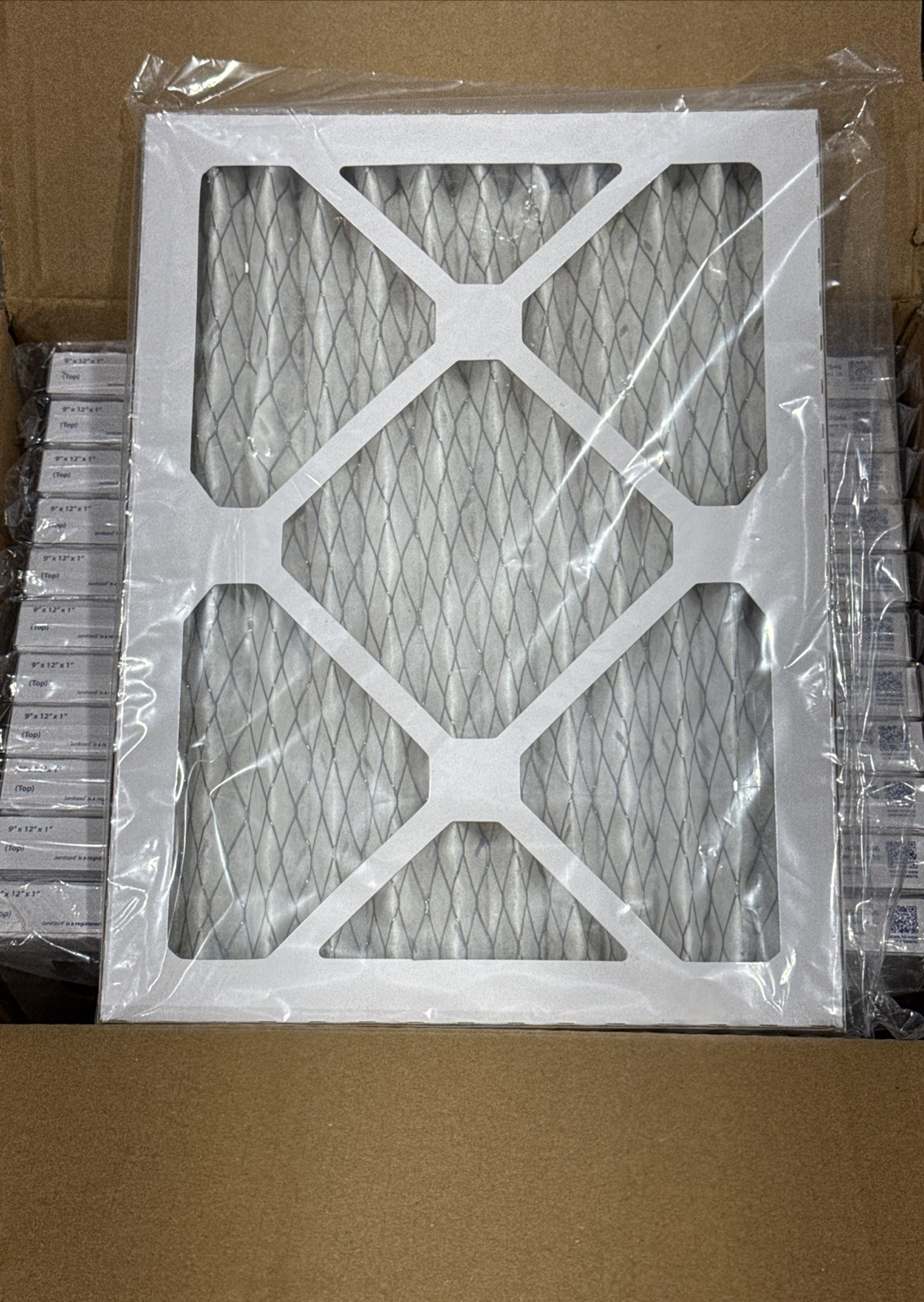 Qty.12 Janitized JAN-HVAC323 Fit Phoenix Dry Max Pre-Filter, 4037046 9x12x1 New