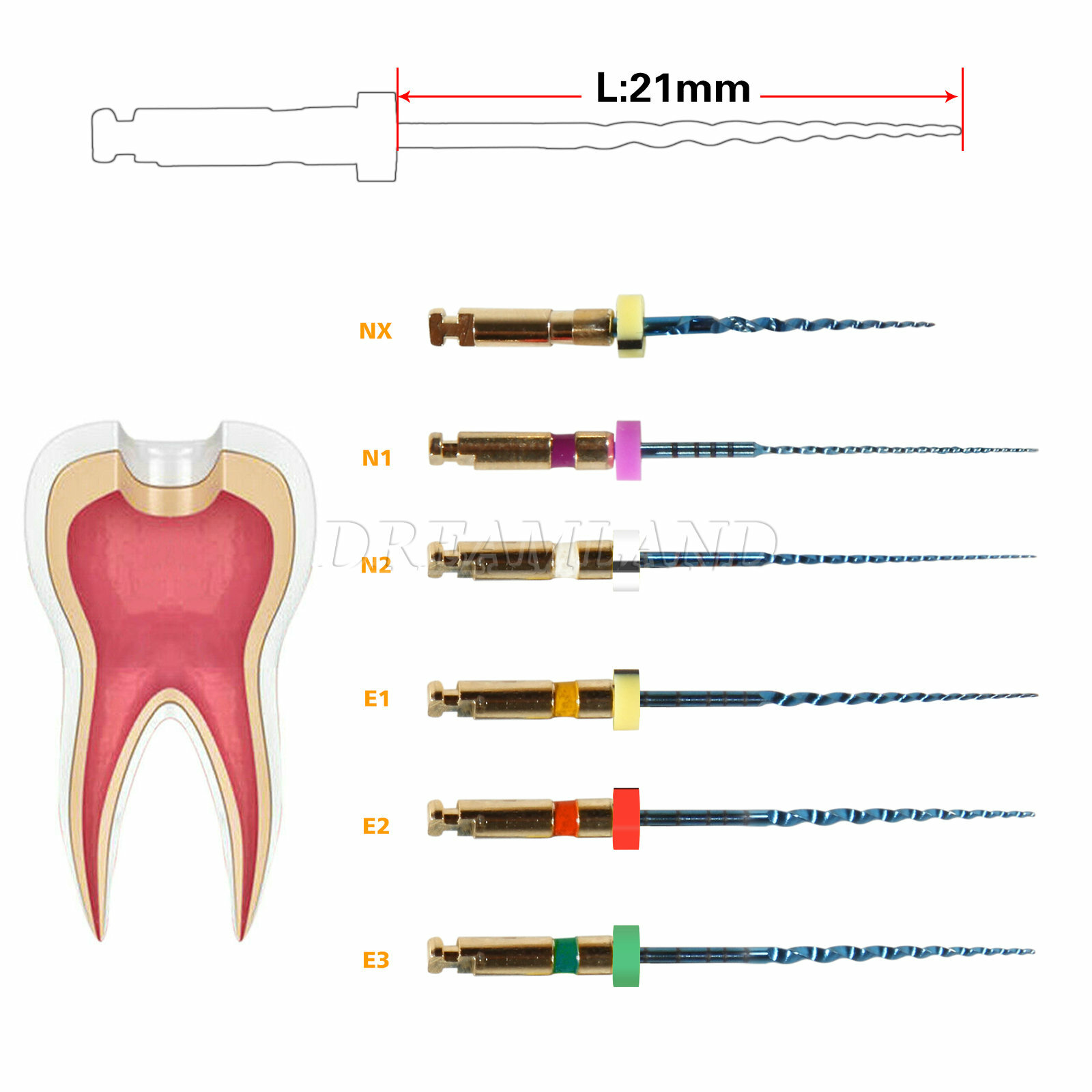 Dental Endo Endodontic Universal Engine Rotary Root Canal NiTi File 21mm CE FDA