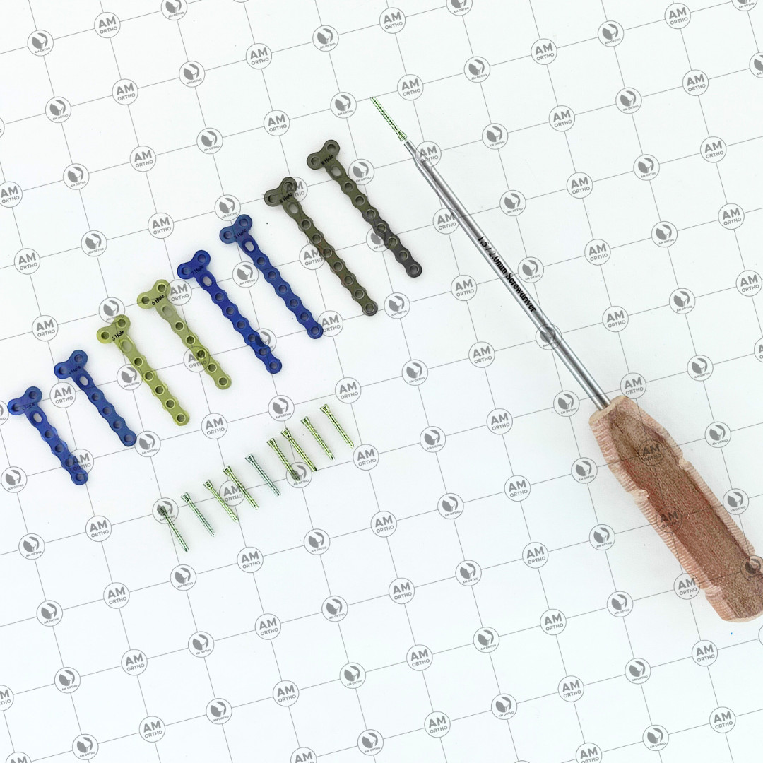 Veterinary 2.0mm Locking 2 Hole Head T Plates with Locking Screws 69 Pcs Set Ti