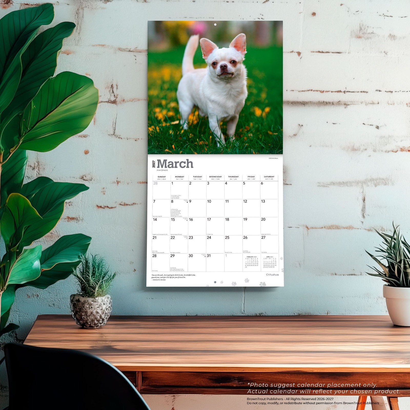 Chihuahuas | 2027 12×24″ (Hanging) Monthly Wall Calendar | Plastic-Free