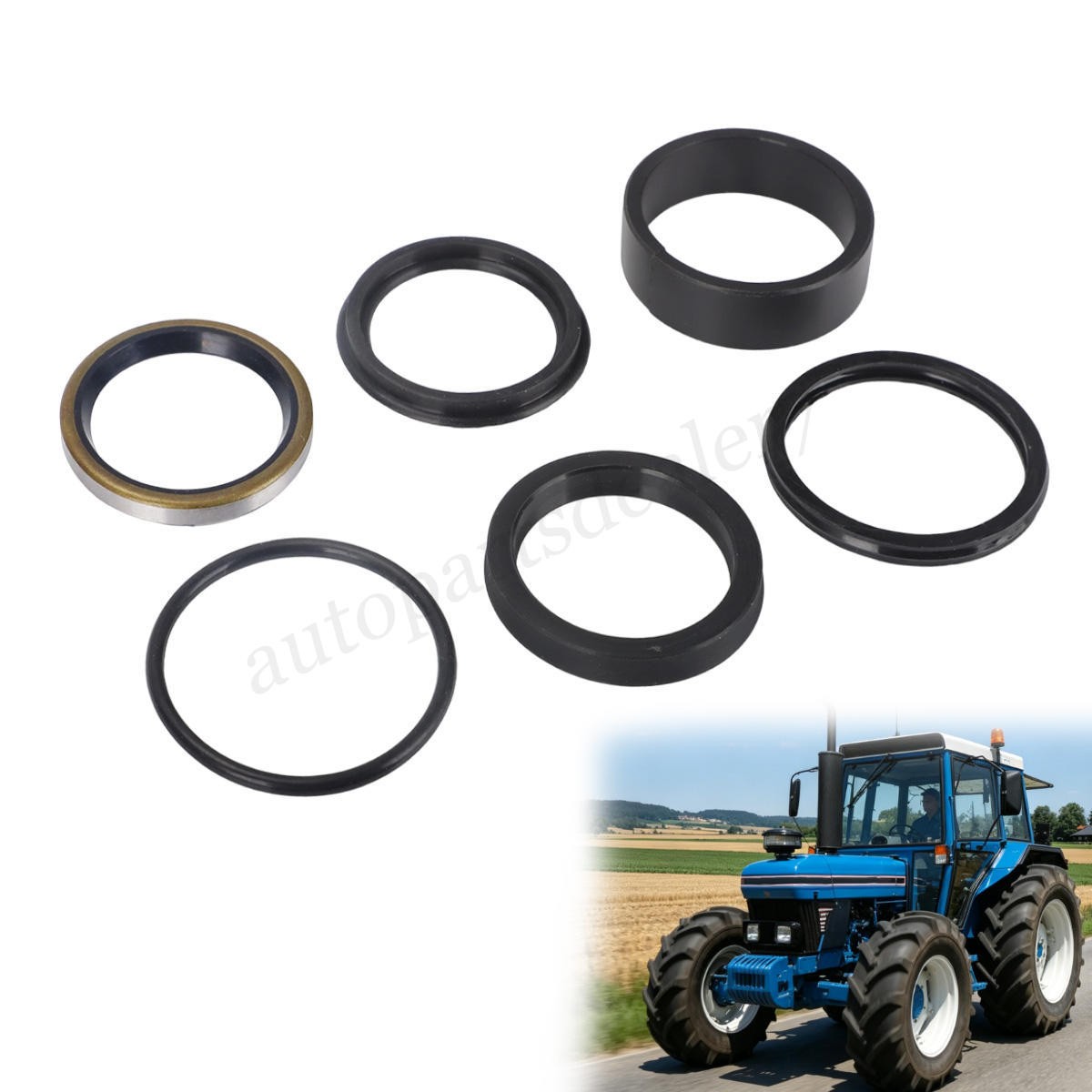 Lift Cylinder Seal Repair Kit for Ford New Holland 7106 7108 7308 & CASE IH L130
