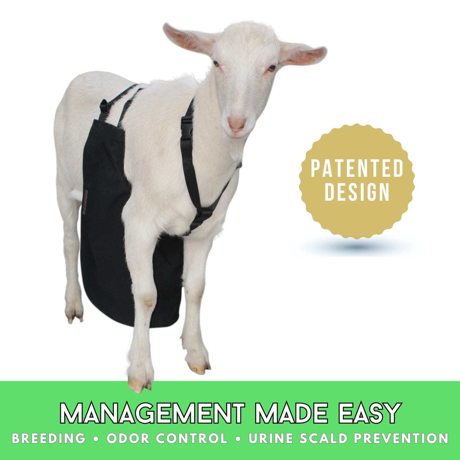 Anti Mating Anti Breeding OLOR Buck Apron™ with Harness – Goats/Sheep X-SMALL