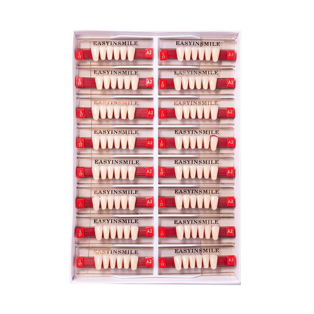 Dental Acrylic Resin Denture False Teeth Anterior DIY Lab A1/A2/A3 U/LFull size