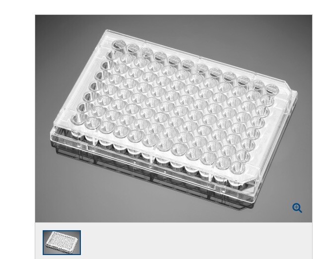 (50/Cs) FALCON 96-Well TC-Treated Culture Microplates w/ Lid F-Bottom 353075