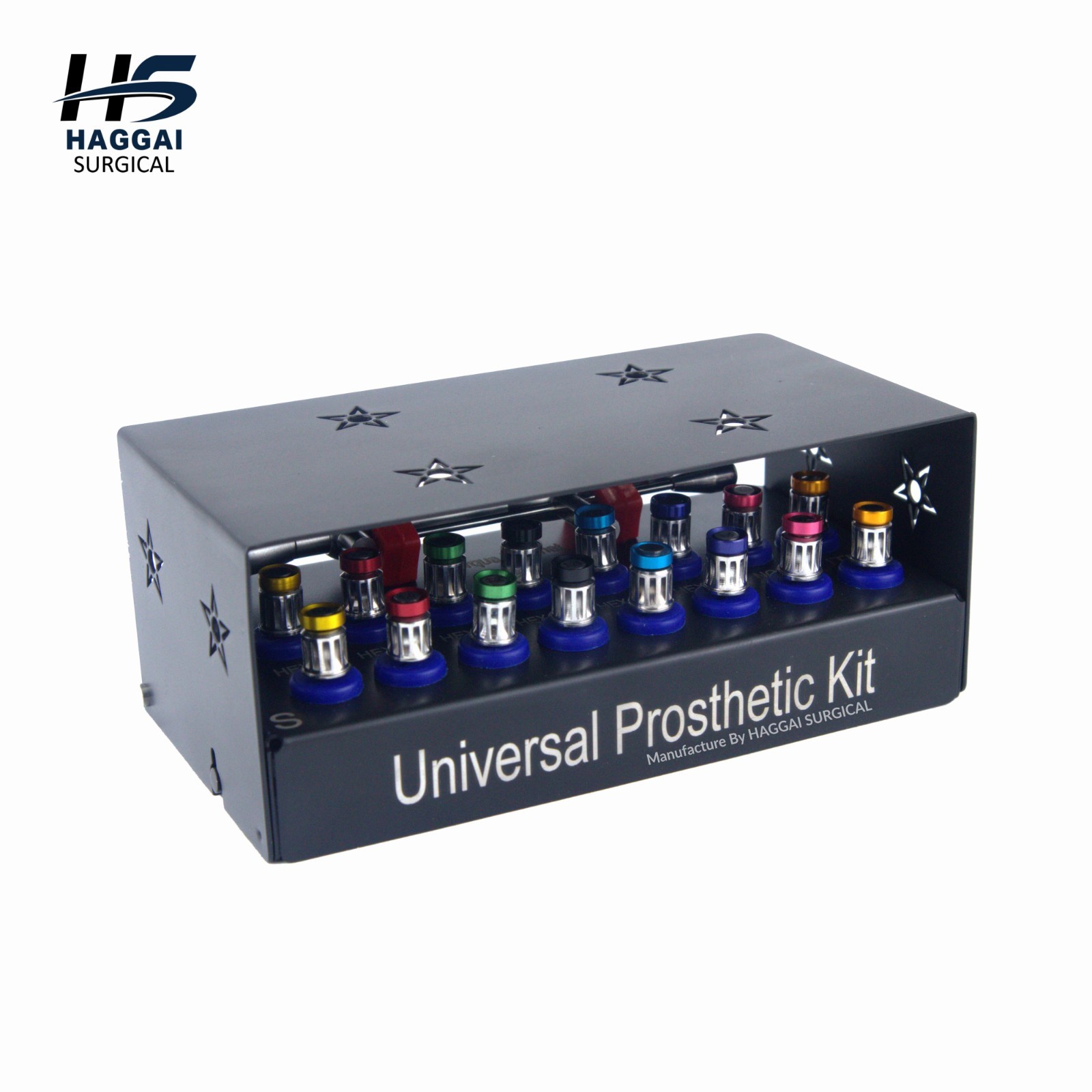 Dental Prosthetic Kit – 16 Pcs Drivers + Torque Ratchet with Organizer Cassette
