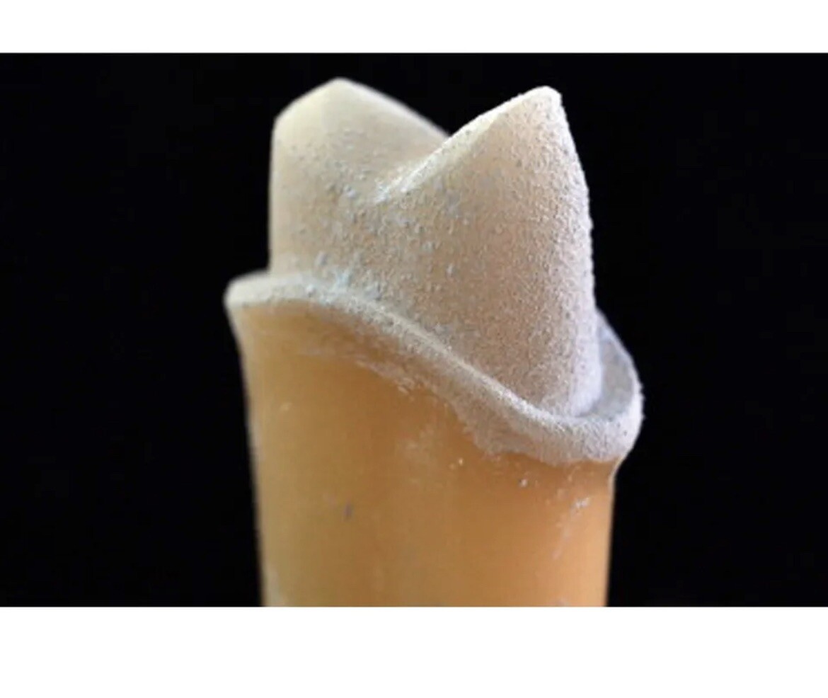 DSI Dental Lab Implant Intraoral Scan Spray 3D Cad/Cam Digital Scanning 75ml