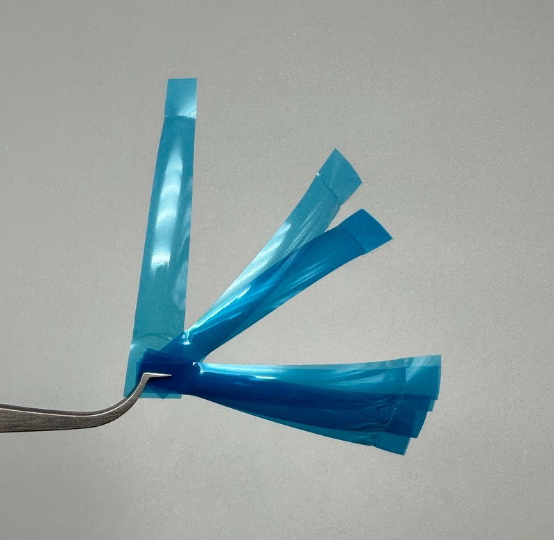 Dental Anterior Restoration Matrix Composite Resin Matrices Blue Strip 50Pcs/box