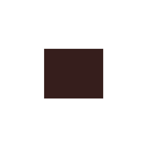 Lutron CW-1-BR, 1-Gang, Gloss, Brown, Blank, Standard, Screwless, Wallplate, 1pc