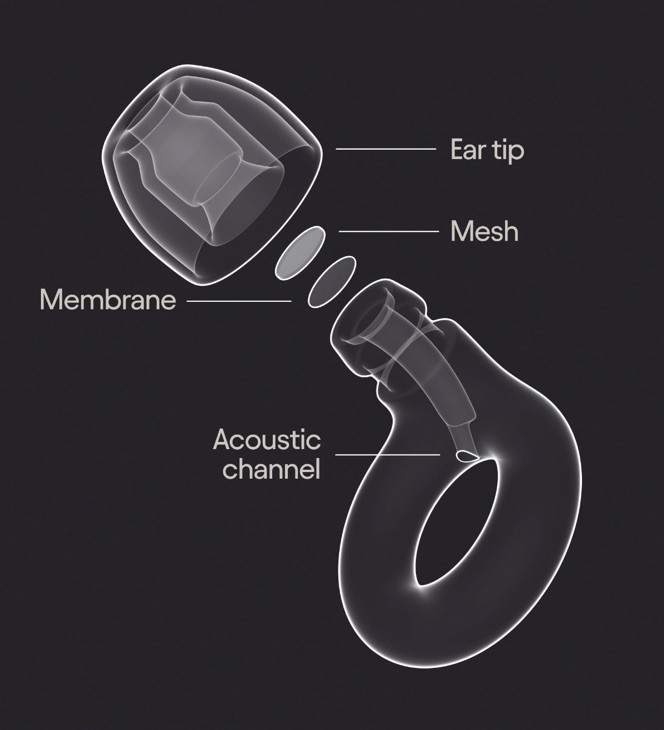 Loop Experience 2 GOLD Earplugs, 17dB Hearing Protection for Loud music & Events