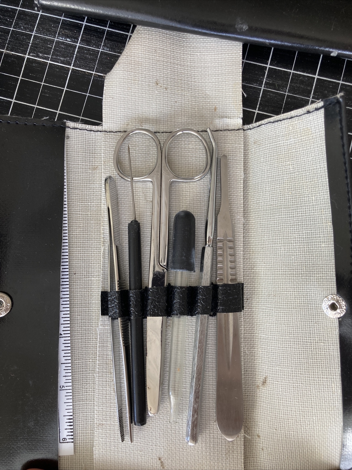 Student Dissecting Instrument Kit Lot of 3 (variable assortments) Forensic