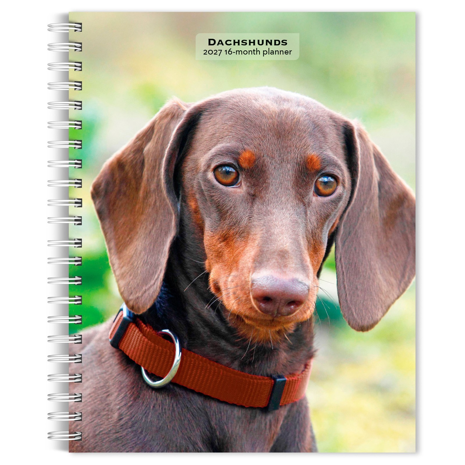 Dachshunds | 2027 6×7.75″ Spiral-Bound Wire-O Weekly Engagement Planner Calendar