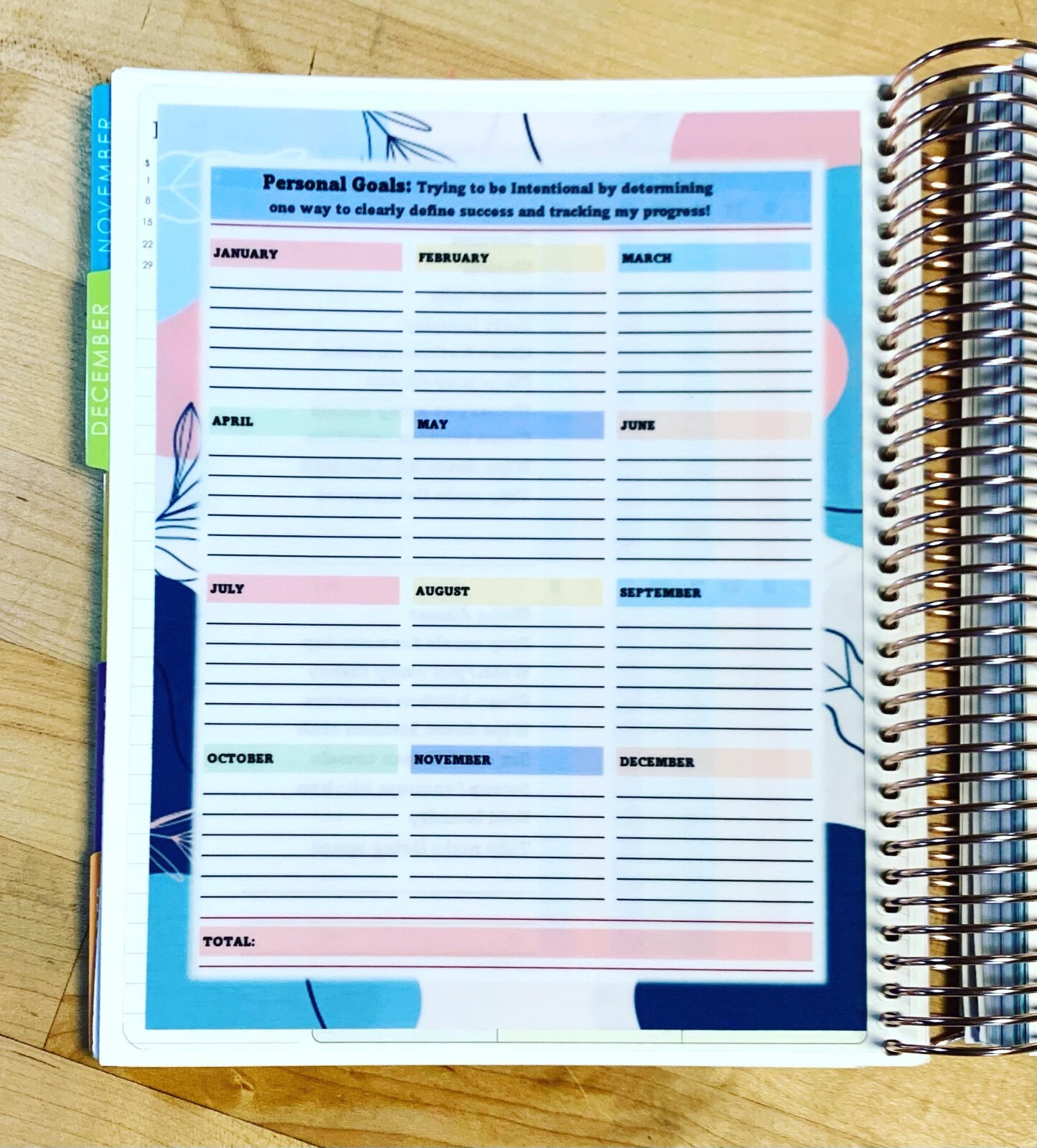Daily Habits Personal Goals Two Sided Dashboard for use w Erin Condren Planner