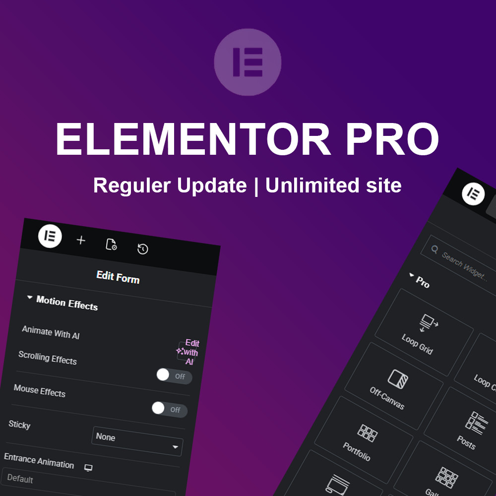 👉 Elementor Pro 🤑🔥 GPL lifetime access with update