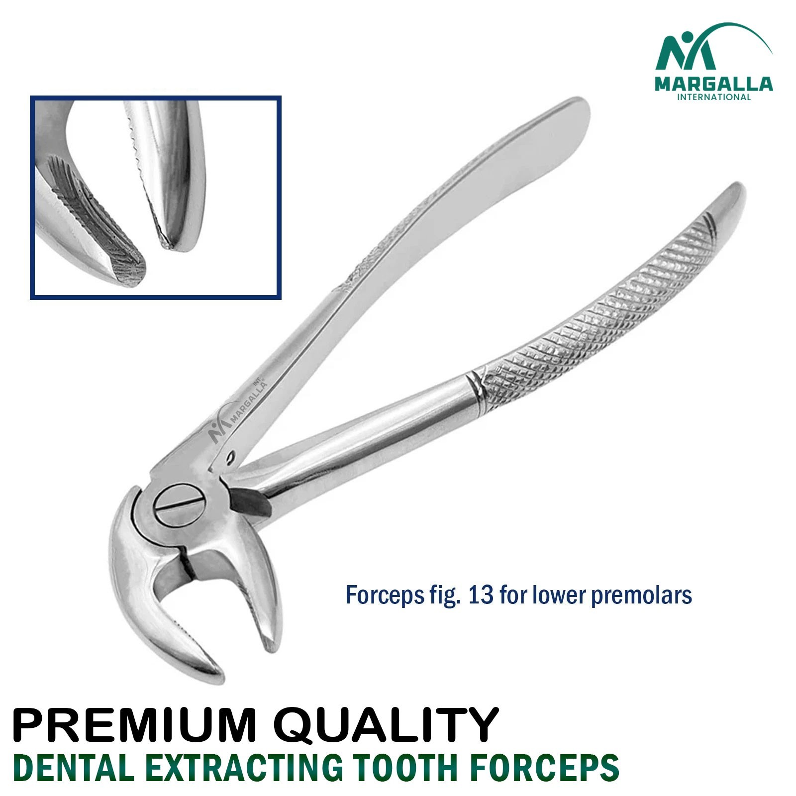 Surgical Lower Premolar Extraction Forceps Fig-13 Dental Tooth Extracting Pliers