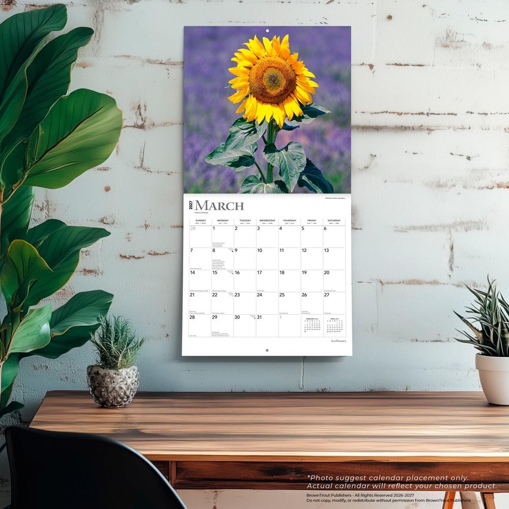 Sunflowers | 2027 12×24″ (Hanging) Monthly Square Wall Calendar | Plastic-Free
