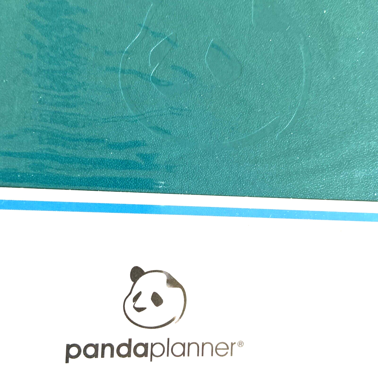 Panda Planner Hardcover Non Dated Daily Planner 5.25 x 8.25 Week Month Cyan Teal