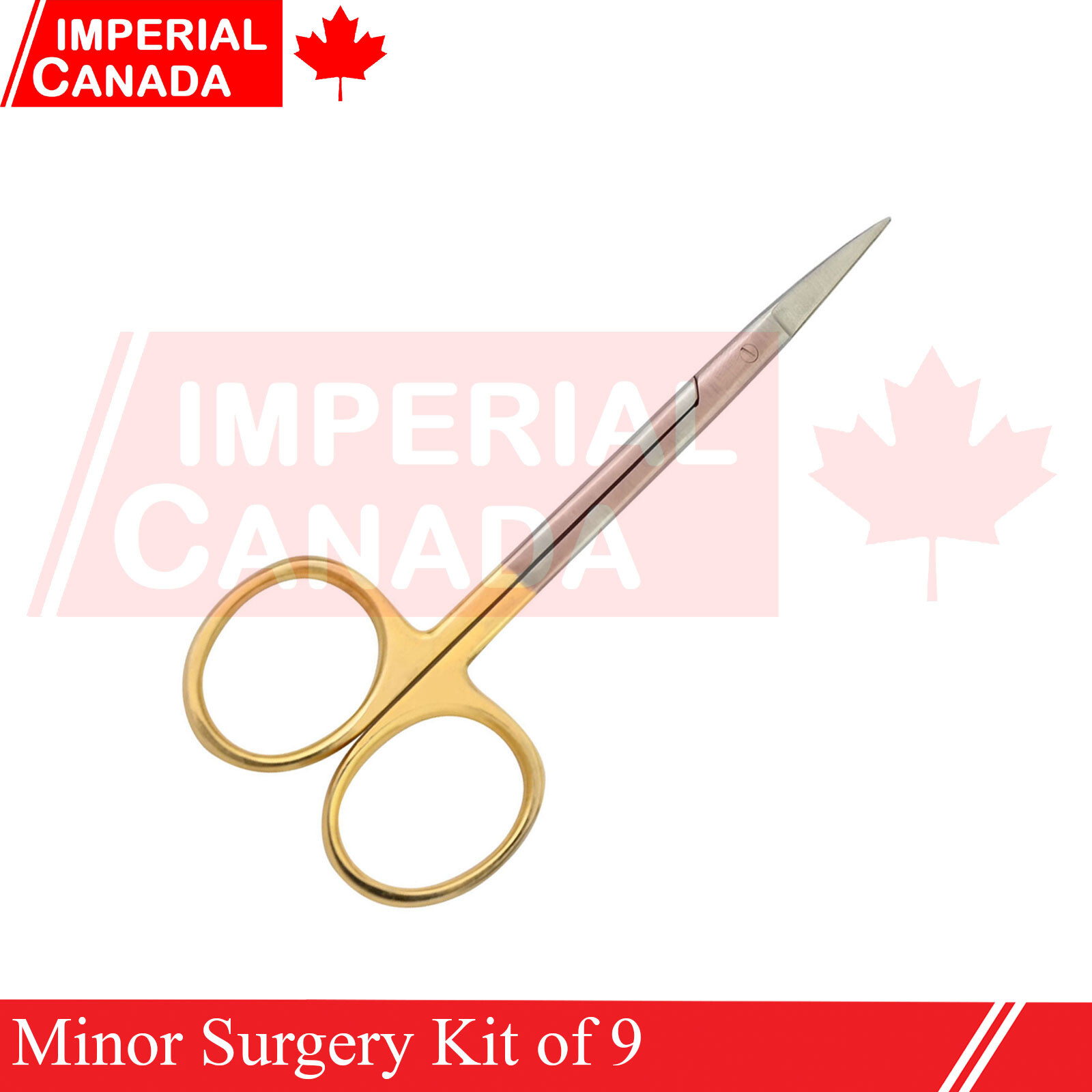 Minor Surgery Kit of 9 Surgical Instruments New Medical Instruments DS-2041