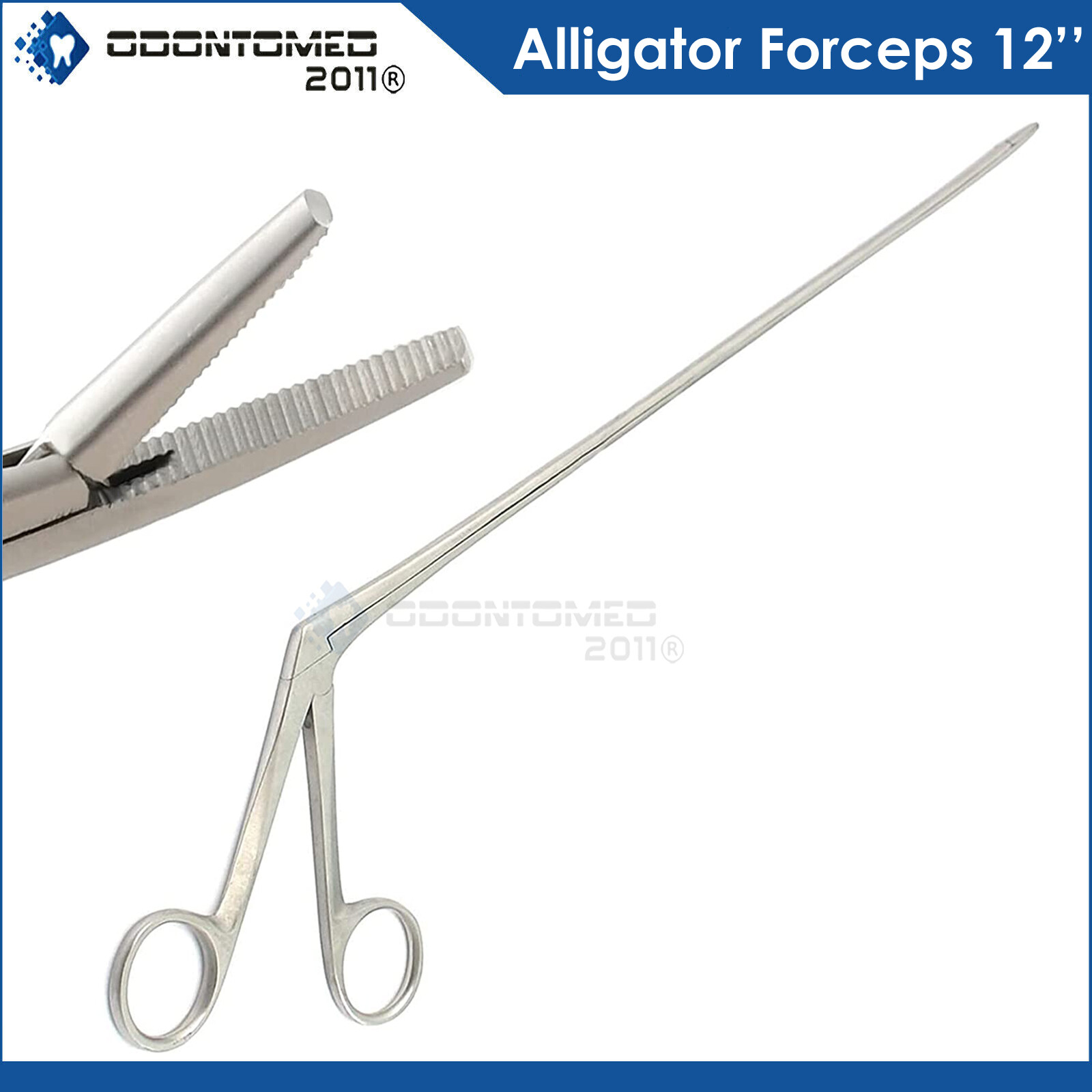 Hartman Alligator Forceps 12» Crocodile German Stainless Steel ENT Surgical
